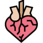 Cardiovascular & Circulatory Health