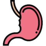 Digestive Health