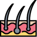 Integumentary & Skin Health
