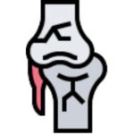 Musculoskeletal Health