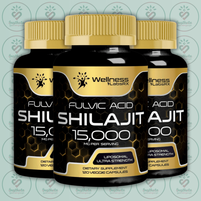 Wellness Labsrx Shilajit - 15000Mg - 120 Veggie Capsules In Bangladesh Image 02