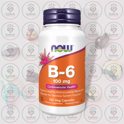NOW B-6 – 100 mg – 100 Veg Capsules in Bangladesh Image 01