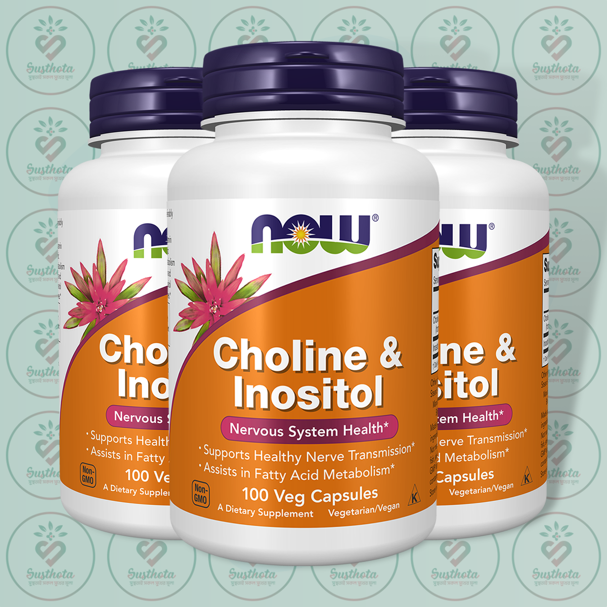 Now Choline &Amp; Inositol – 250 Mg Each – 100 Veg Capsules In Bangladesh Image 02 Now Choline &Amp; Inositol – 250 Mg Each – 100 Veg Capsules In Bangladesh Image 02