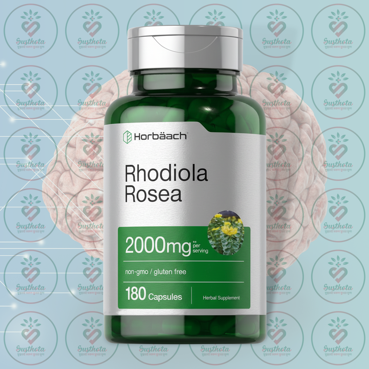Horbaach Rhodiola Rosea - 2000 Mg - 180 Capsules In Bangladesh Image 01 Horbaach Rhodiola Rosea - 2000 Mg - 180 Capsules In Bangladesh Image 01