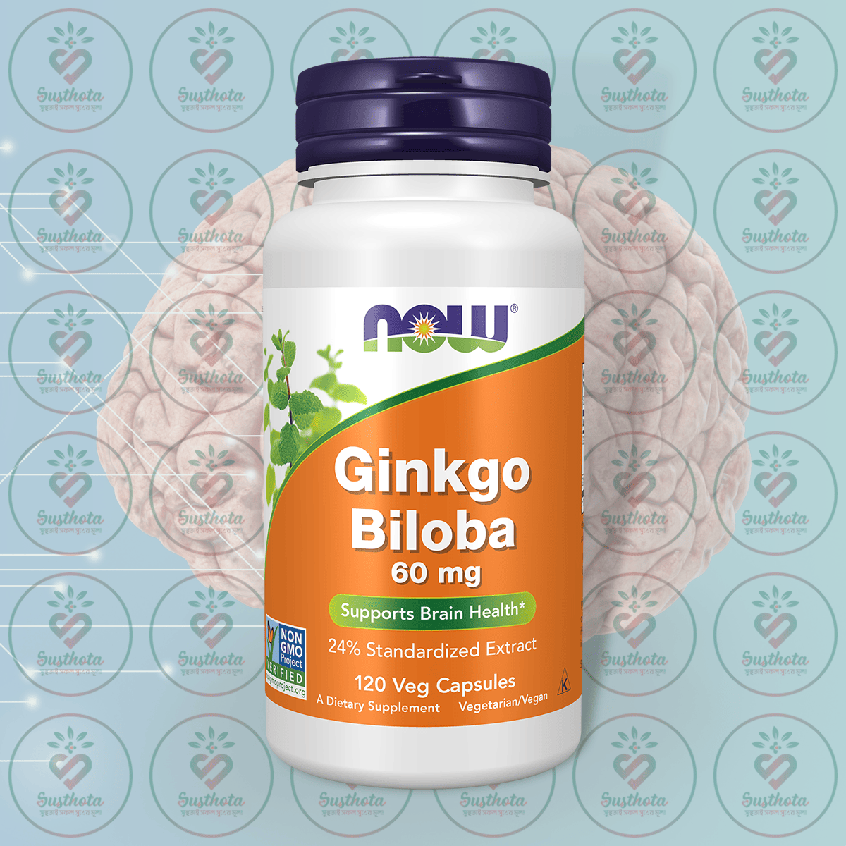 Now Ginkgo Biloba – 60 Mg – 120 Veg Capsules In Bangladesh Image 01 Now Ginkgo Biloba – 60 Mg – 120 Veg Capsules In Bangladesh Image 01