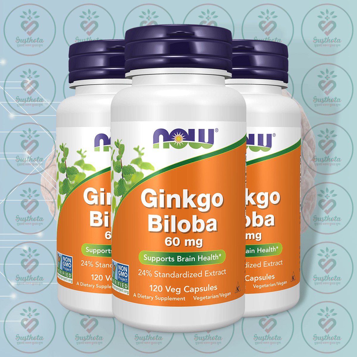 Now Ginkgo Biloba – 60 Mg – 120 Veg Capsules In Bangladesh Image 02 Now Ginkgo Biloba – 60 Mg – 120 Veg Capsules In Bangladesh Image 02