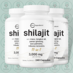 Micro Ingredients Shilajit 11-in-1 - 3000 mg - 240 Capsules in Bangladesh Image 02