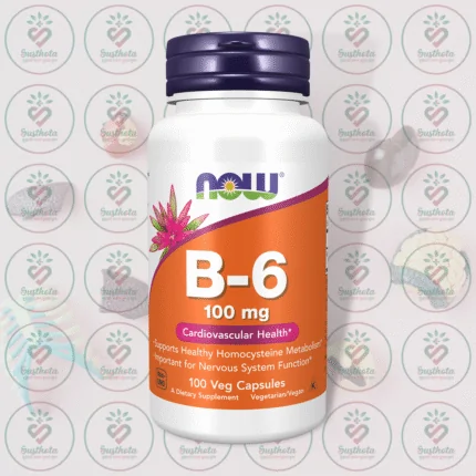 NOW B-6 – 100 mg – 100 Veg Capsules in Bangladesh Image 01